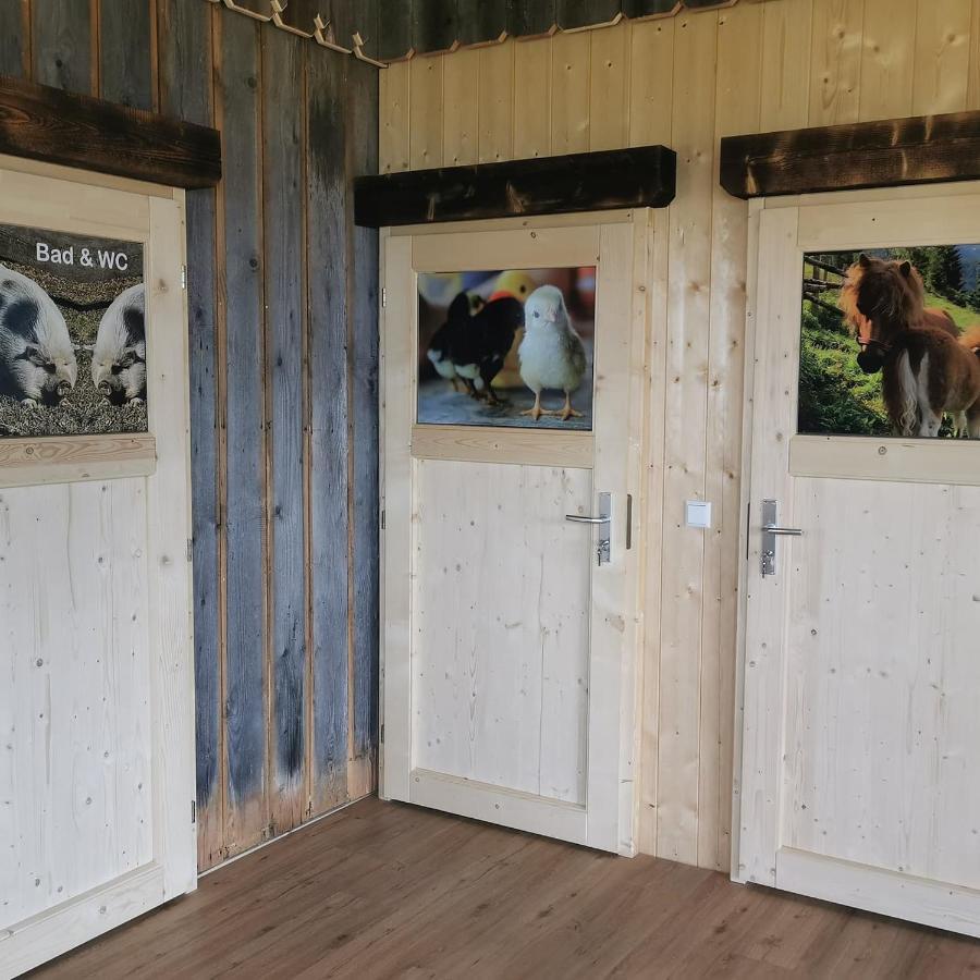 Appartamento Bergblick Hollnhof Donnersbach Esterno foto