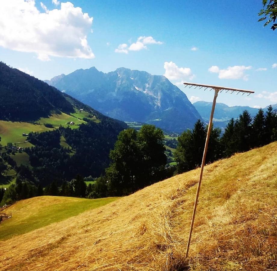Appartamento Bergblick Hollnhof Donnersbach Esterno foto
