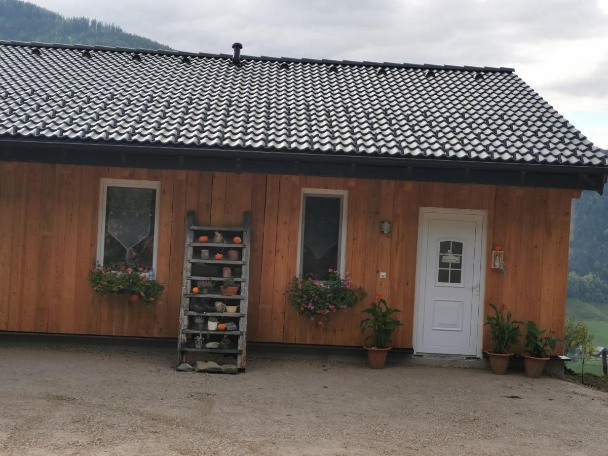 Appartamento Bergblick Hollnhof Donnersbach Esterno foto
