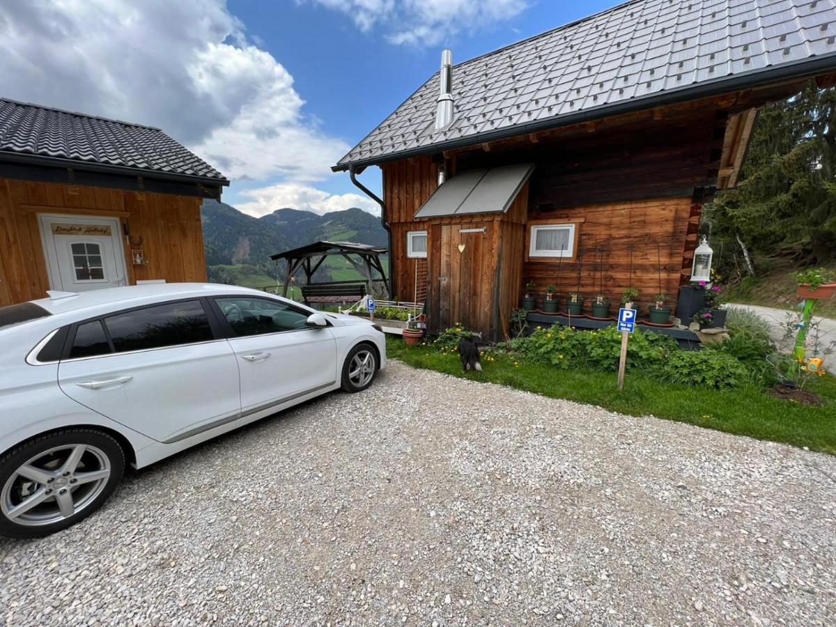 Appartamento Bergblick Hollnhof Donnersbach Esterno foto